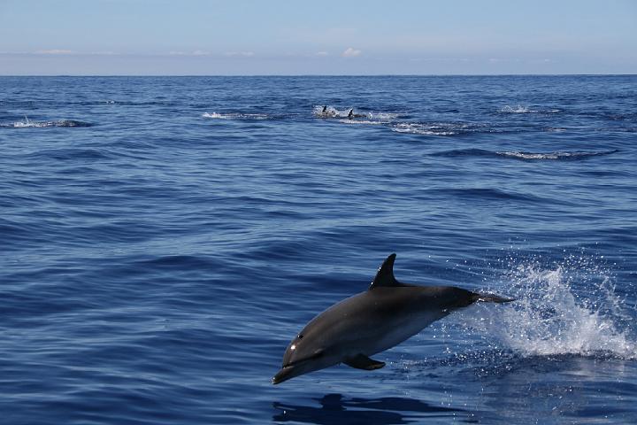 Azul 095.jpg